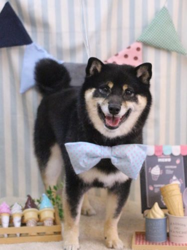 20250516ぽちたくん